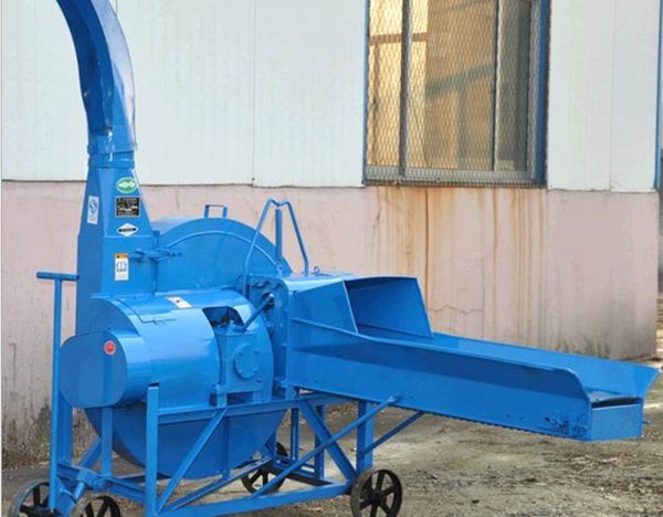 ������z�C